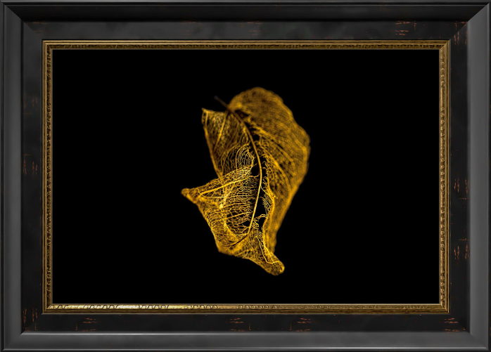Golden Shadow