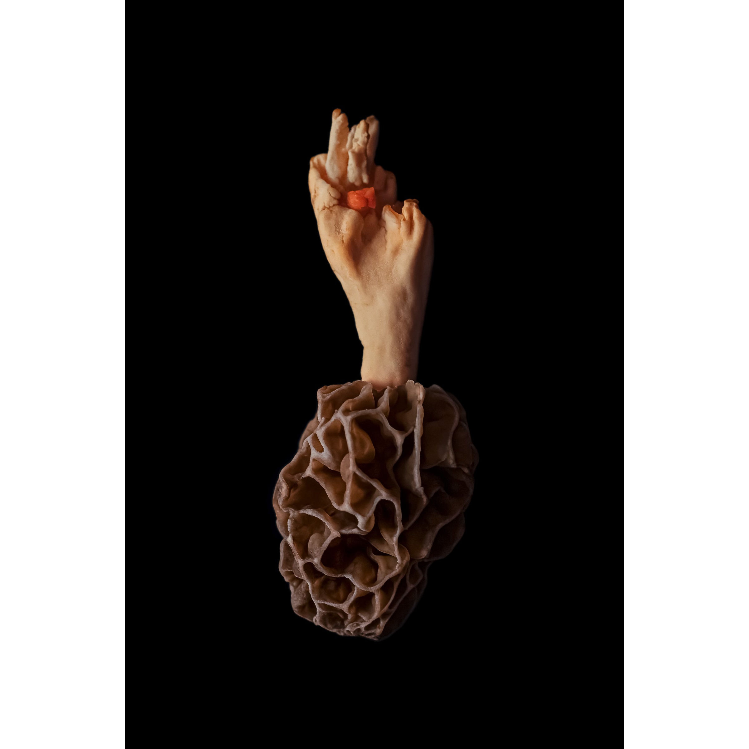 Mushroom´s Heart