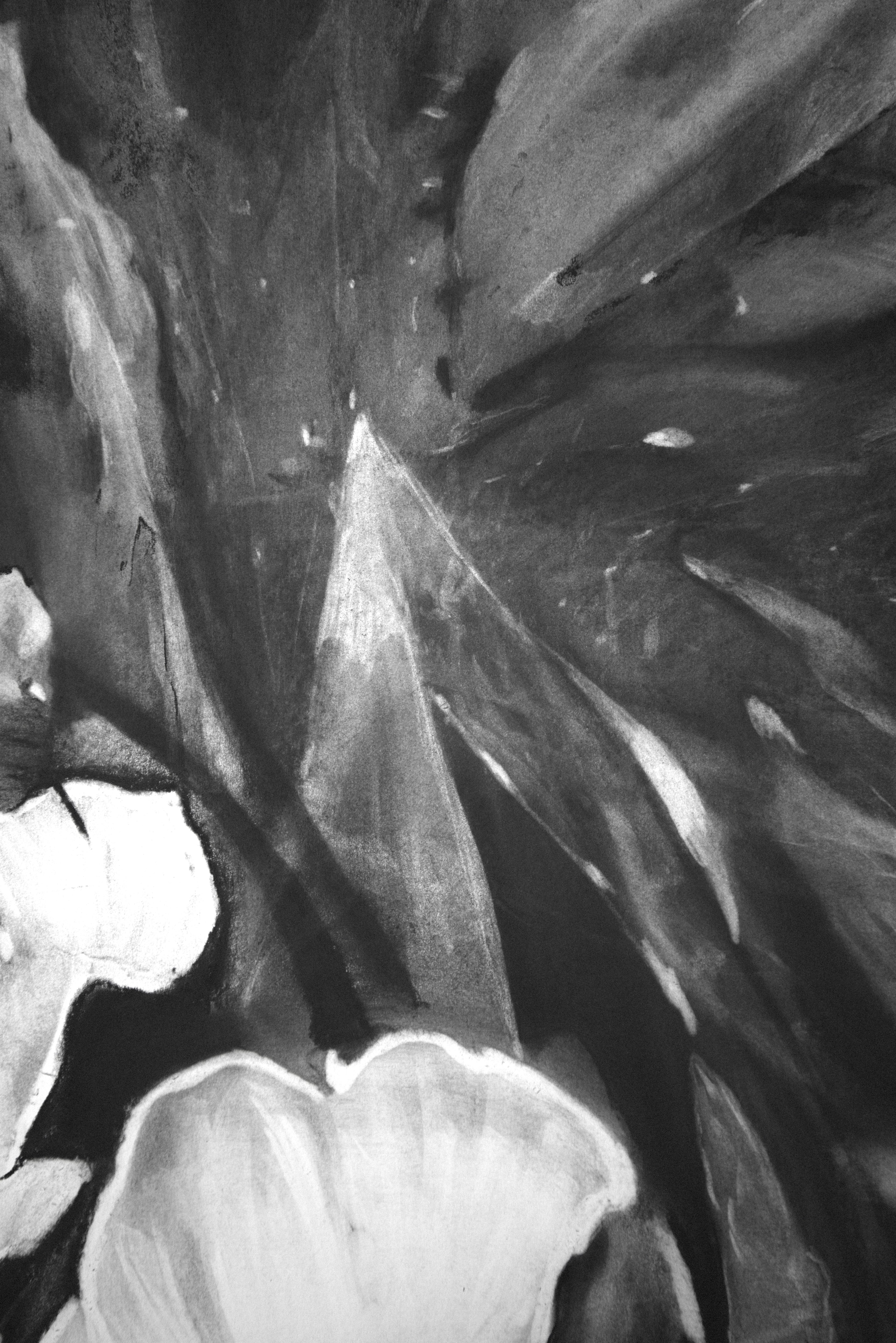 Morphose I