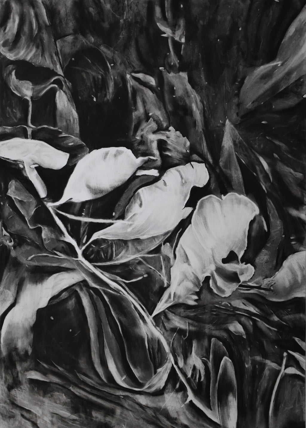 Morphose I