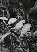 Morphose I
