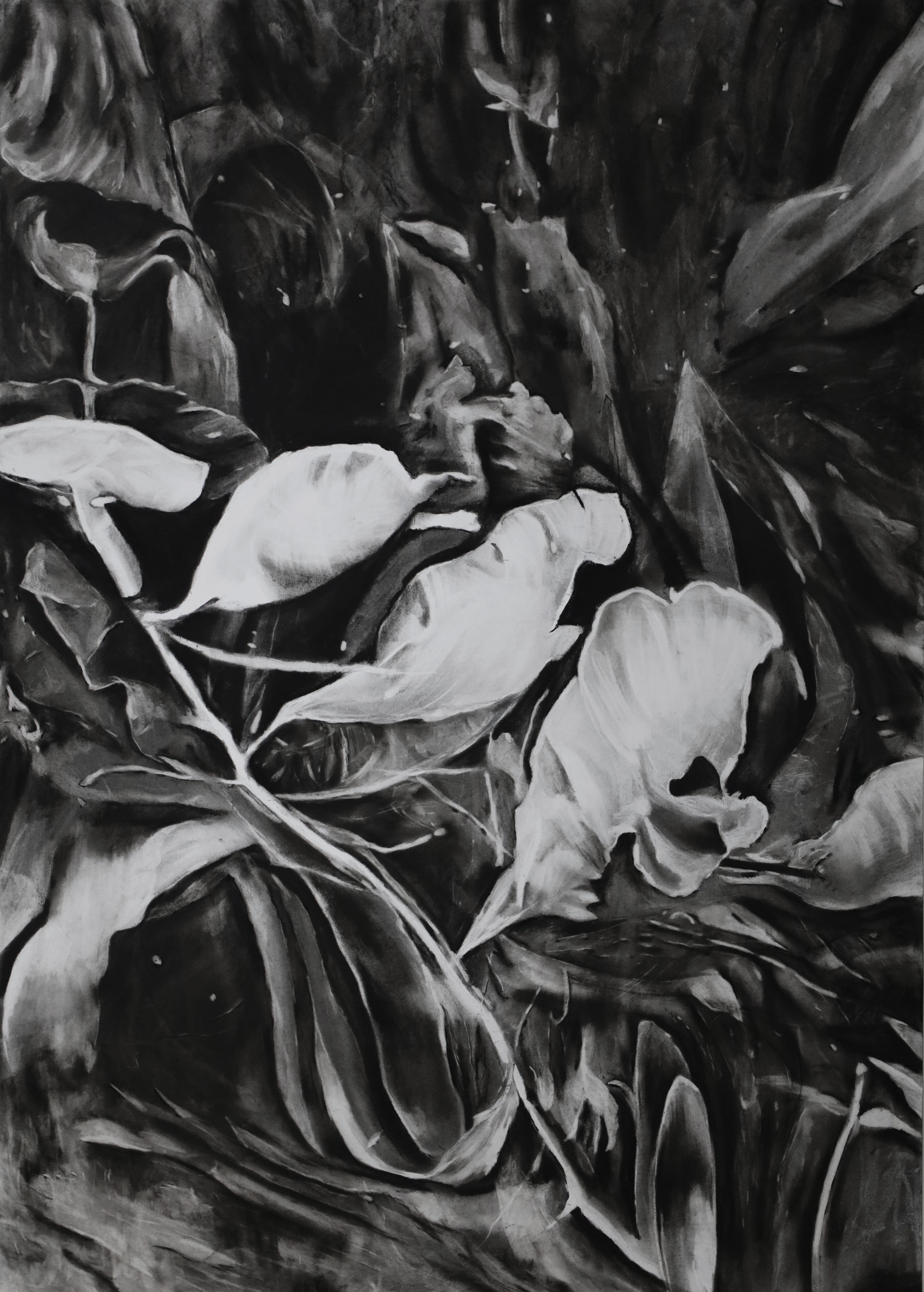 Morphose I